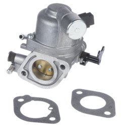 Karbiuratorius 594207