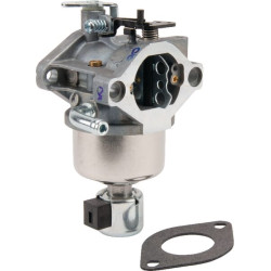 Karbiuratorius 594601WM