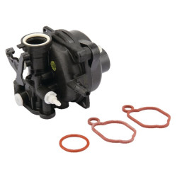 Karbiuratorius 591160