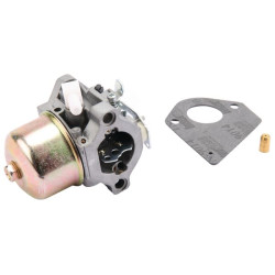 Karbiuratorius 495782