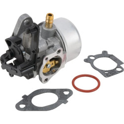 Karbiuratorius 591137