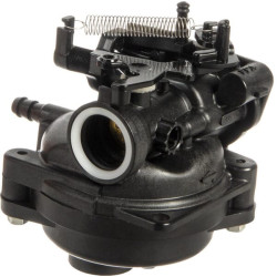 Karbiuratorius 592361