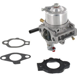 Karbiuratorius 492256