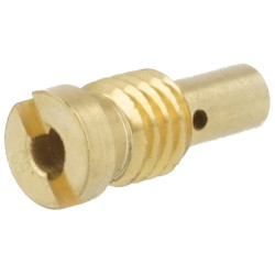 Pilotinis purkštukas 594870