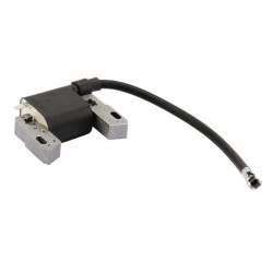 Uždegimo ritė, Briggs & Stratton 84005272