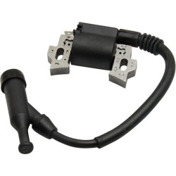 Uždegimo ritė, Briggs & Stratton 797343WM