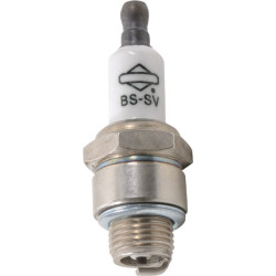 Uždegimo žvakė 555737