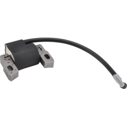 Uždegimo ritė, Briggs & Stratton 592445