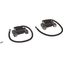 Uždegimo ritė, Briggs & Stratton 843860WM