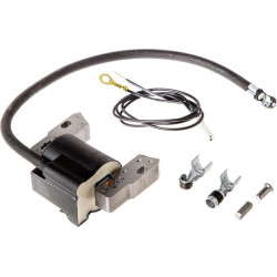 Uždegimo ritė, Briggs & Stratton 591420