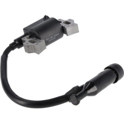 Uždegimo ritė, Briggs & Stratton 590603