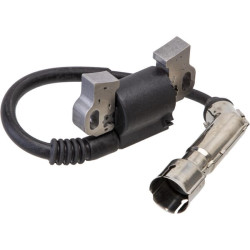 Uždegimo ritė, Briggs & Stratton 798616