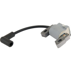 Uždegimo ritė, Briggs & Stratton 595959