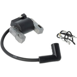 Uždegimo ritės armatūros magnetas 84003819