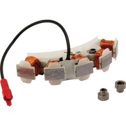 Generatoriaus statorius 494254