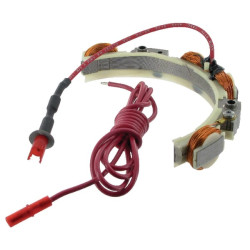 Generatoriaus statorius 393809