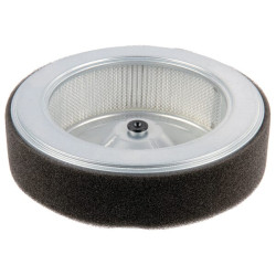 Oro filtras Honda 17210Z6L010