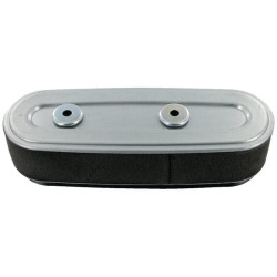Oro filtras Honda 17210Z1V003