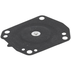 Dozavimo diafragmos mazgas 16013ZDDR02