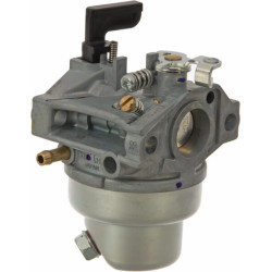 Karbiuratorius 16100887105
