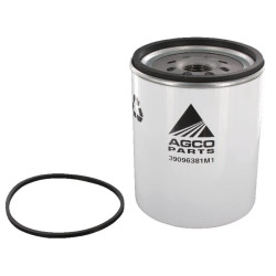 Filtras 3909638M1