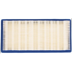 Oro filtro įdėklas AGW410049