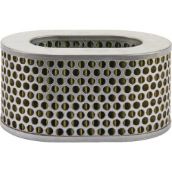 Oro filtro elementas AGW415008