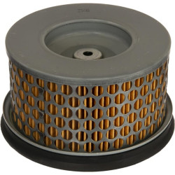 Oro filtro įdėklas AGW419011