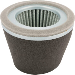 Oro filtras AGW70209