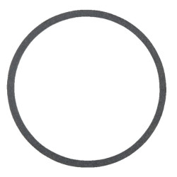 Sandarinimo žiedas AGW02909