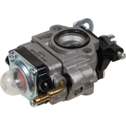 Karbiuratorius AK411747