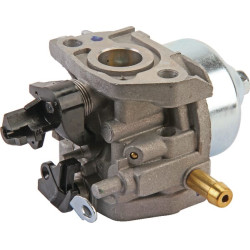 Karbiuratorius AK411923