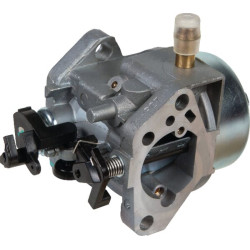 Karbiuratorius AK455229