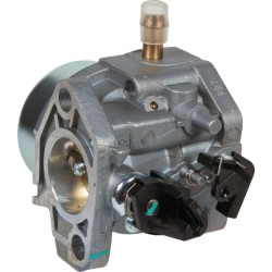 Karbiuratorius AK455229