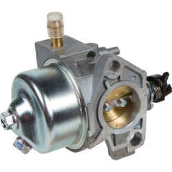 Karbiuratorius AK455229