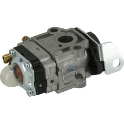 Karbiuratorius 462606