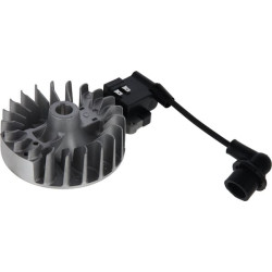 Uždegimo ritės mazgas 412516