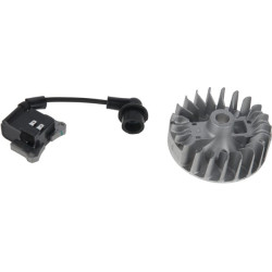 Uždegimo ritės mazgas 412516