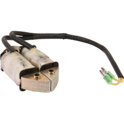 Generatoriaus statorius AK455199