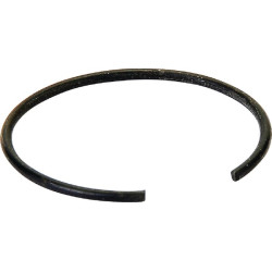 Sandariklis AK455270