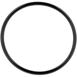 O formos žiedas 55x3.1 463554