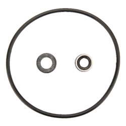 Sandariklis AK462888