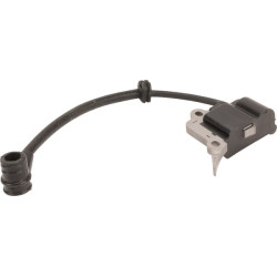 Uždegimo ritė, GGP 1188046790