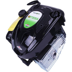 Variklis, vertikalus, 6,5 AG, 2 cilindrų, Etesia ET23864