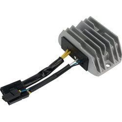 Įtampos reguliatorius Hatz 1B40V/W 01983600