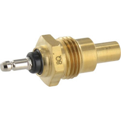 Temperatūros jutiklis T110736