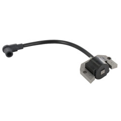 Uždegimo ritė, Kawasaki 211717035