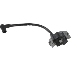 Uždegimo ritė, Kawasaki 211710743