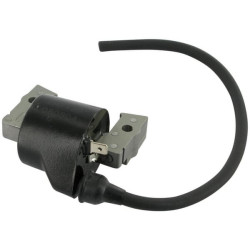 Uždegimo ritė, Kawasaki 211212008