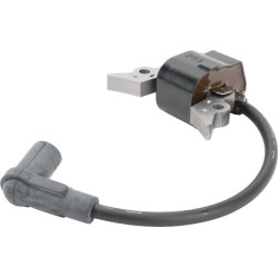 Uždegimo ritė, Kawasaki 211210712